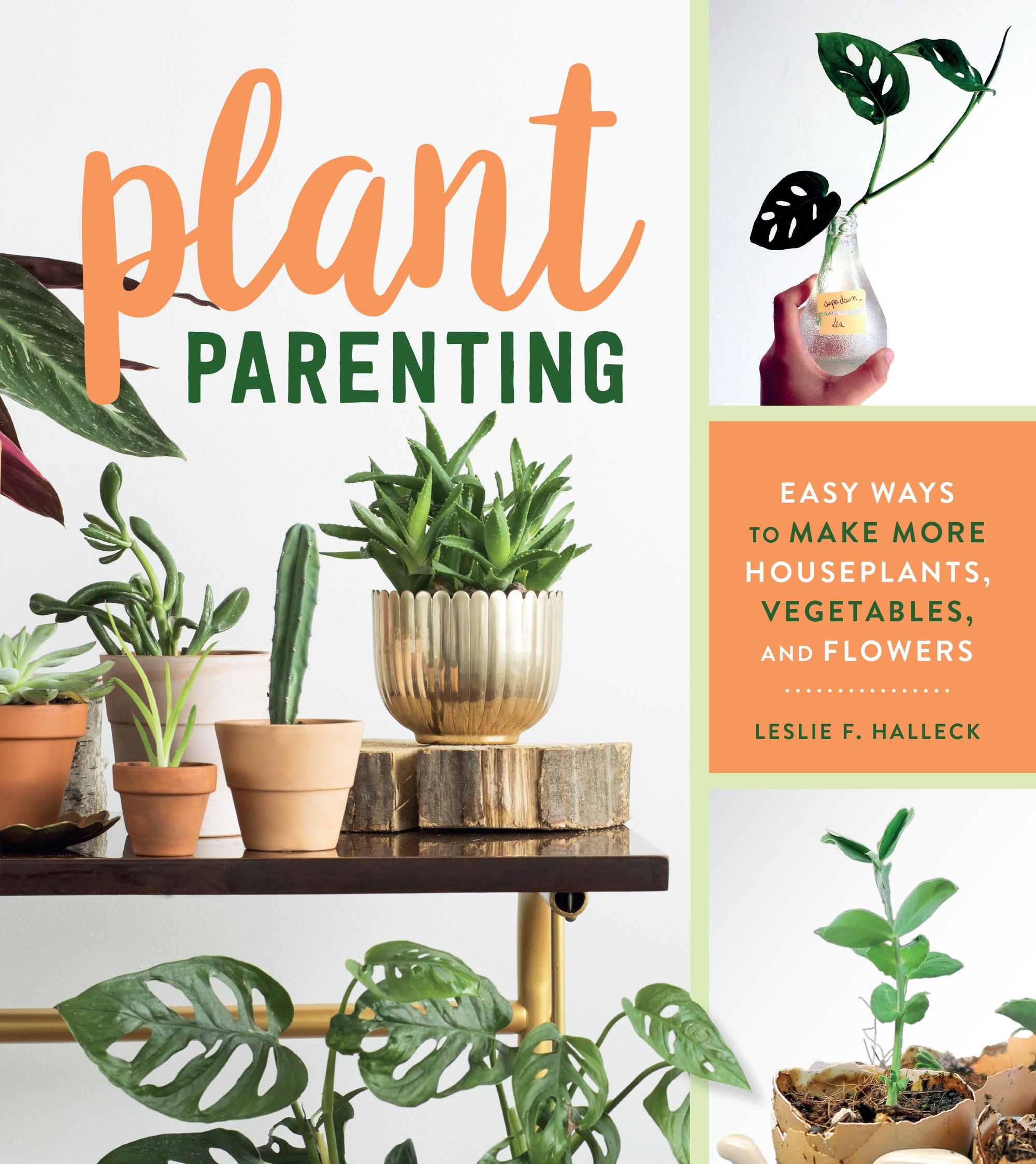 A variety of houseplants are featured on the cover, including monstera, cacti, and more.