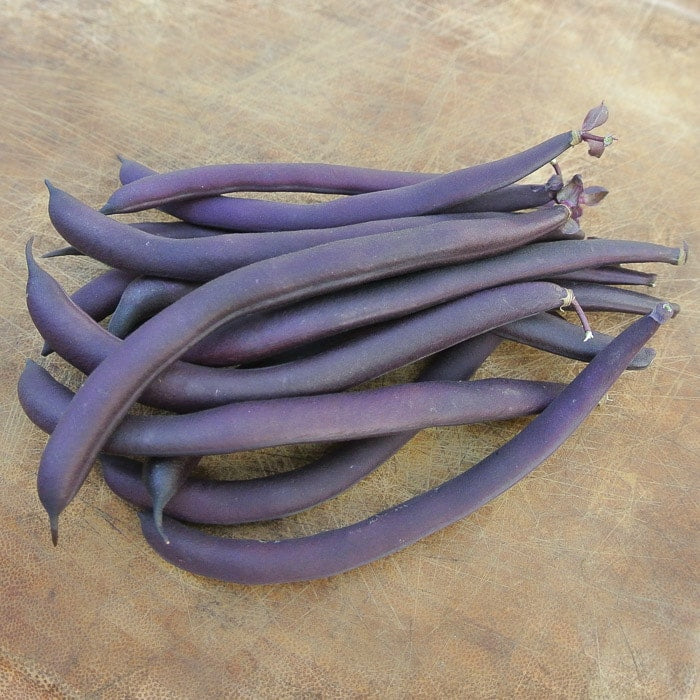 Bean, Bush Snap 'Robert's Royalty' (Phaseolus vulgaris) - Seed AS