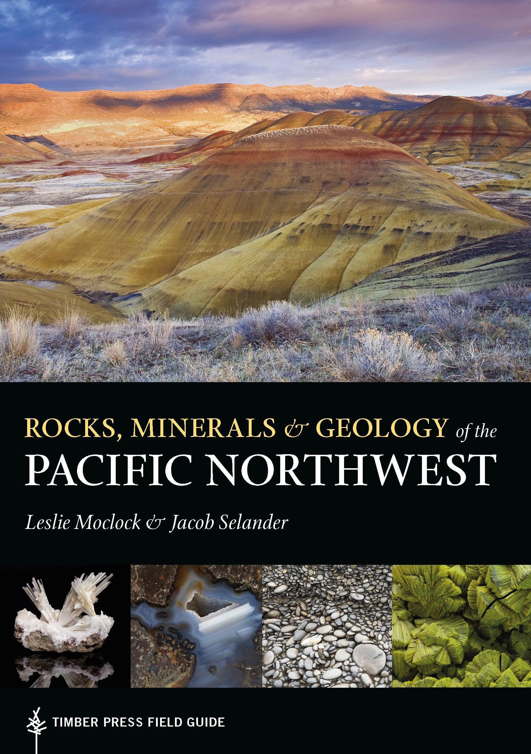 The cover has multiple images, including the Painted Hills and various rocks like geodes