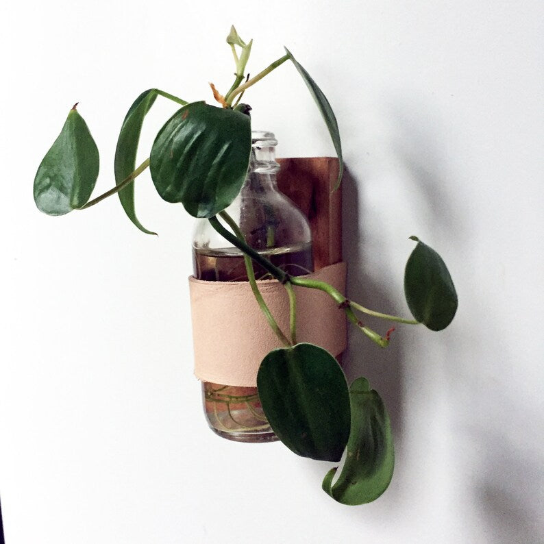 A small magnet planter with a wooden back and tan vegan leather strap. There is a philodendron growing out of it. The bottle attached to the planter is clear.