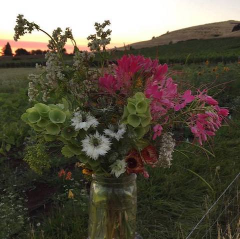 Pollinator Mix, Annual Early Flowering/Cool Season - Seed SS