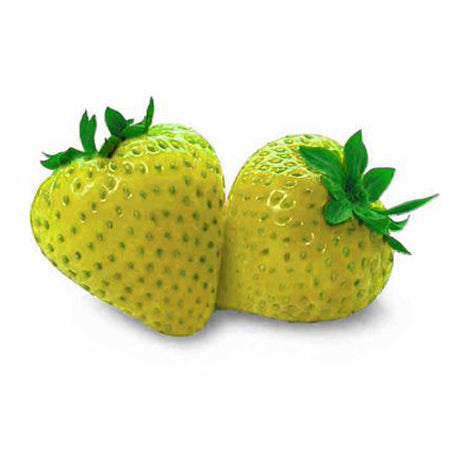 cost of strawberry seeds Strawberry, Alpine 'Alpine Yellow' (Fragaria vesca)