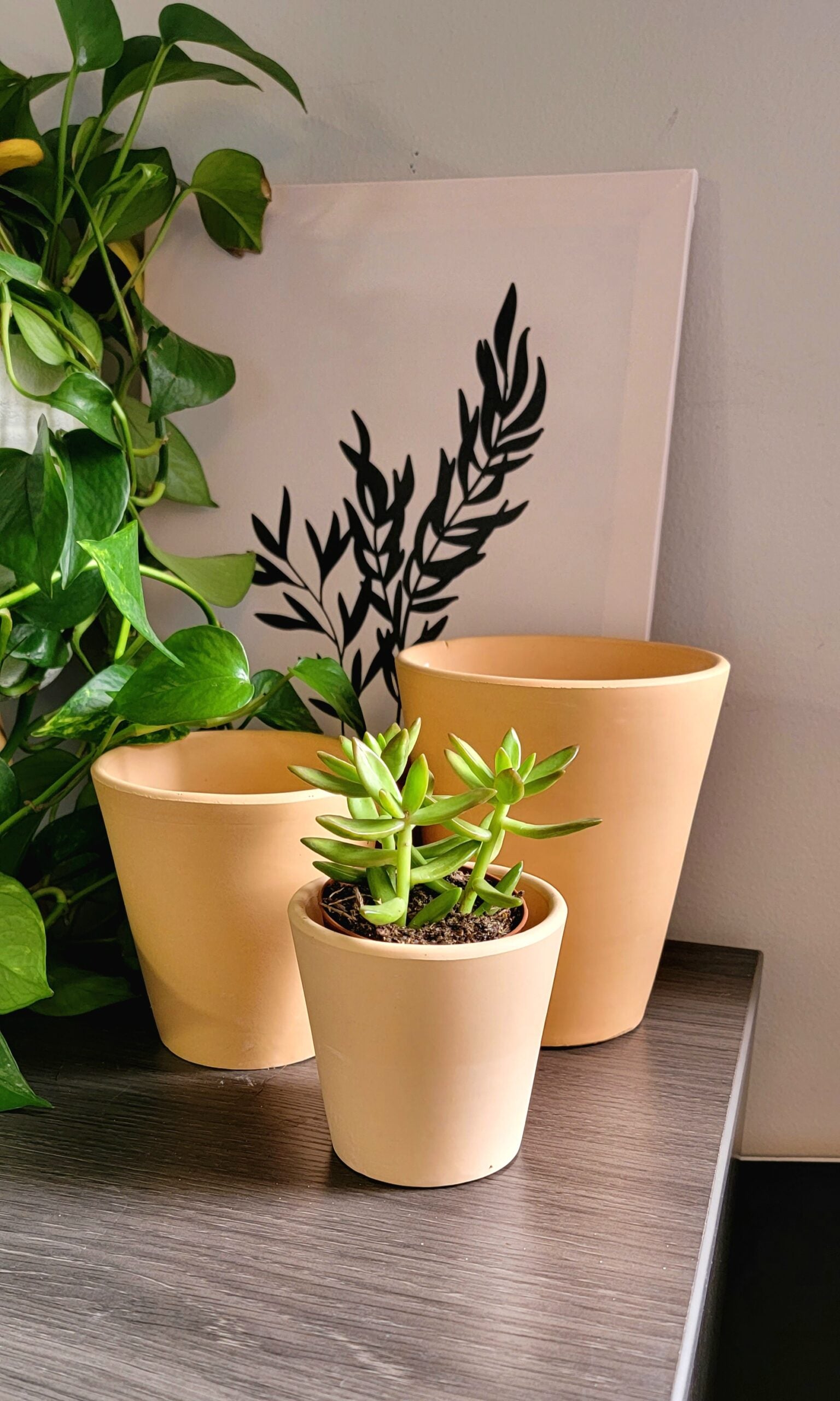 Terracotta Cone Planter