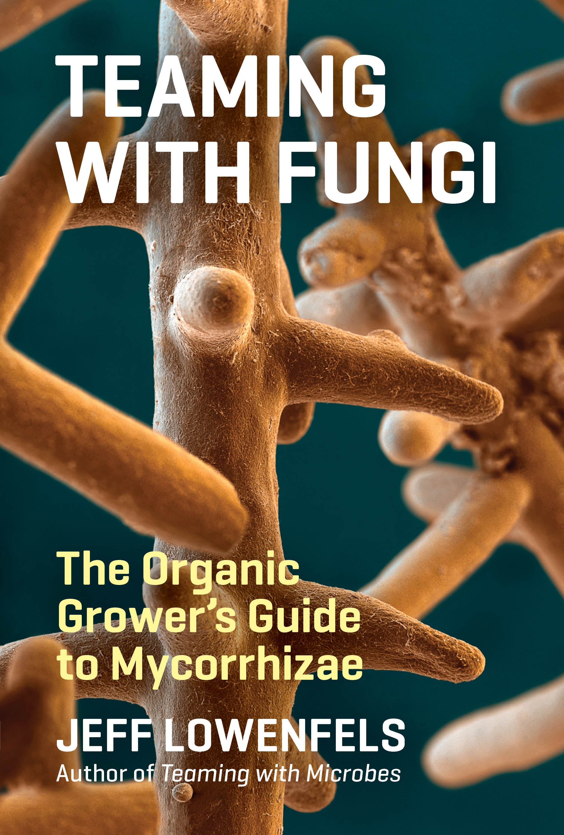 A teal cover with images of brown molecular structures of fungi.