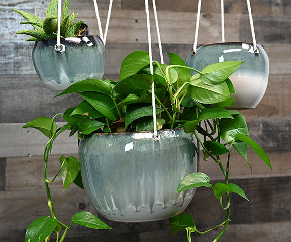 hanging circle planter Hanging Round Planter WP