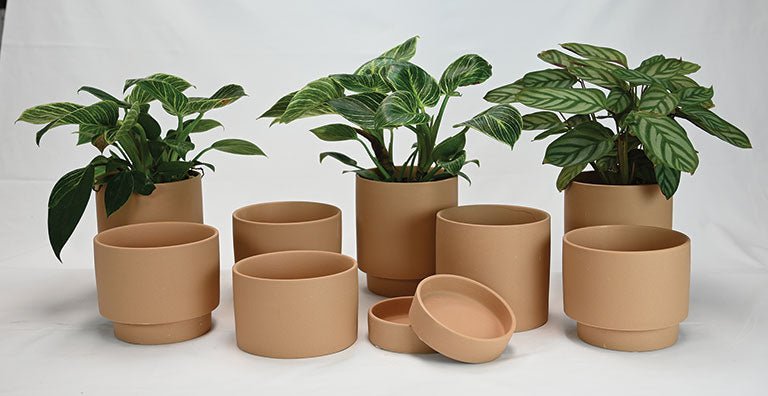 Mesa Planter WP