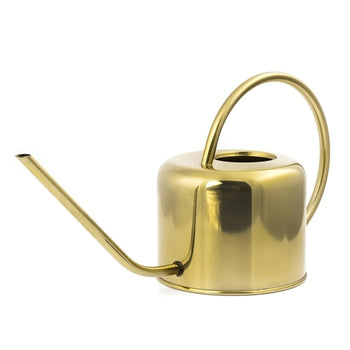 A shiny brass watering can. It has a long thin nozzle. 