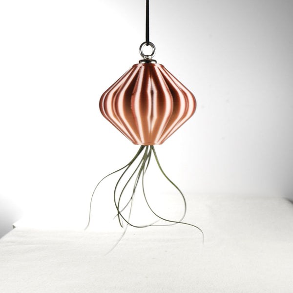jellyfish air planter Jellyfish Air Planter