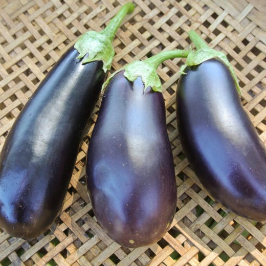Eggplant 'Diamond' (Solanum melongena) - Seed AS
