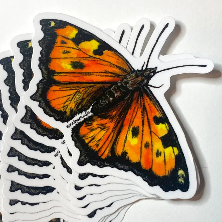 California Tortoiseshell Butterfly Sticker