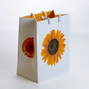 Creative Paper Gift Bag