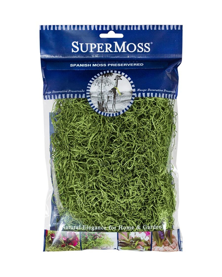 Supermoss Spanish Moss Preserved
