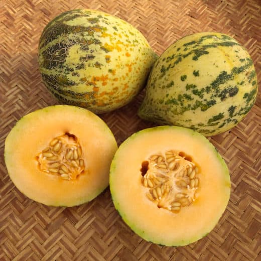 Cucumis melo 'Sweet Freckles' (Melon) Seed AS
