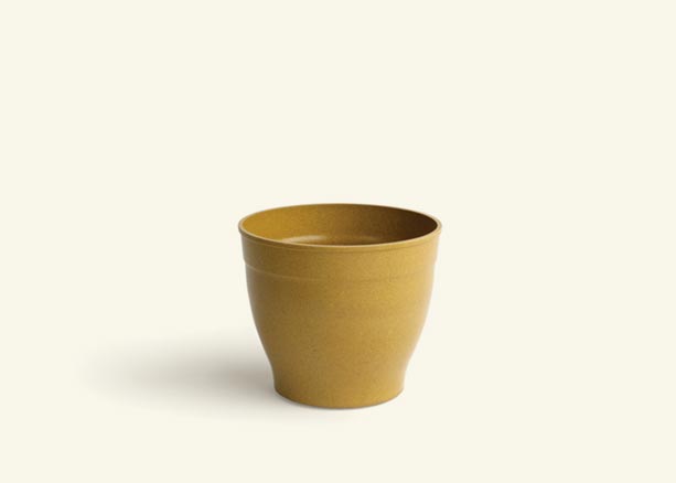 A small, burnt yellow pot.
