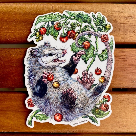 Opossum & Tomato Sticker