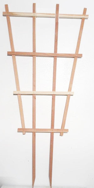 A&G Redwood Fan Espalier Trellis
