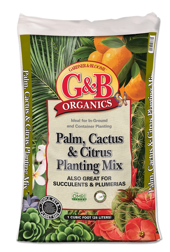 A bag with palms, oranges, and cacti on the label.