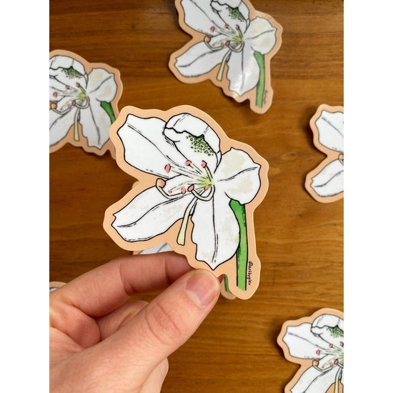 Rhododendron Sticker