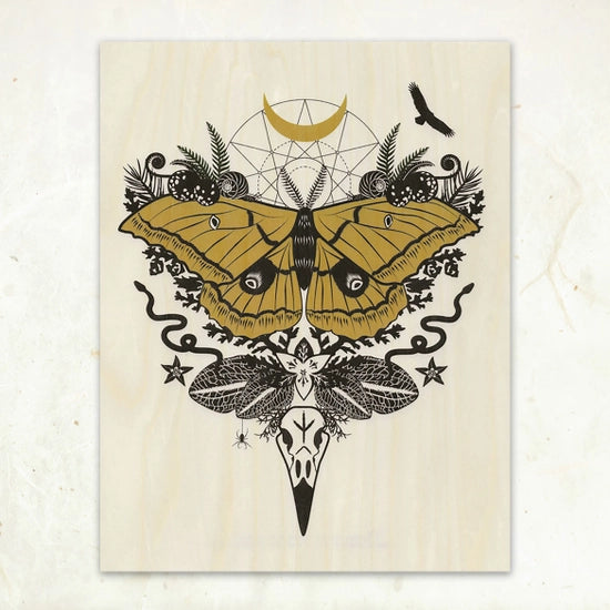 Silk Moth Wood Print 8.5 x 11