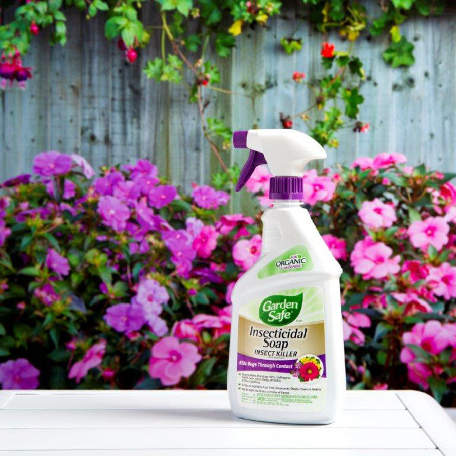 garden safe insecticidal soap concentrate mixing directions Garden Safe Insecticidal Soap Insect Killer 32 oz (Ready-to-Use)